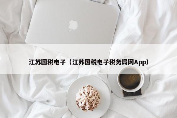 江苏国税电子（江苏国税电子税务局网App）