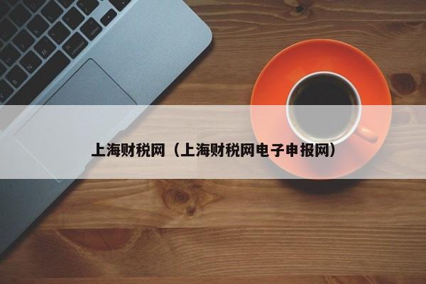 上海财税网（上海财税网电子申报网）